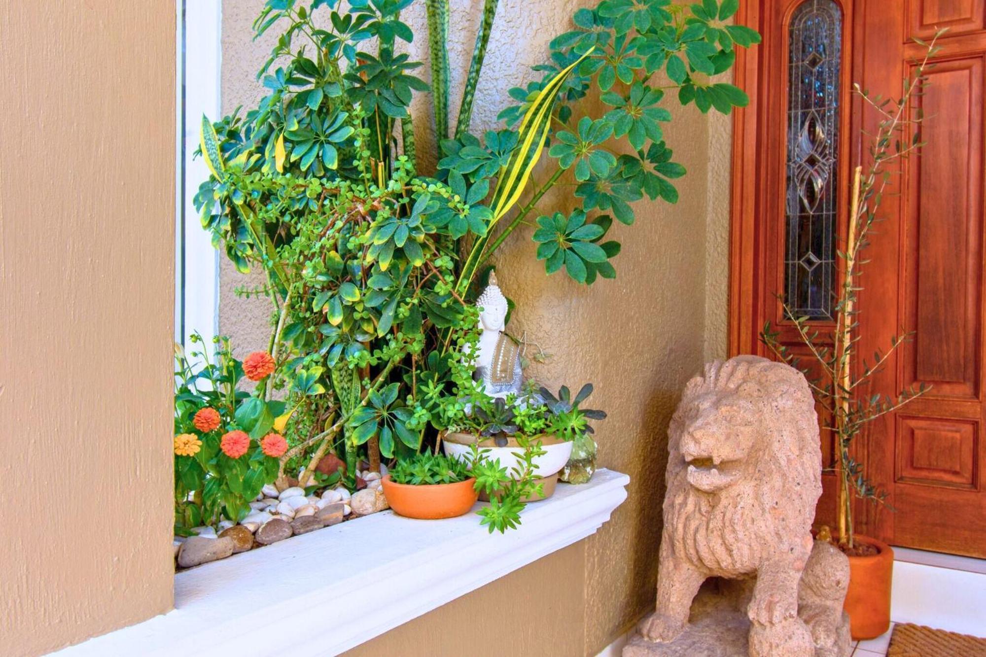 Casa Kinich Leilighet Guadalajara Eksteriør bilde